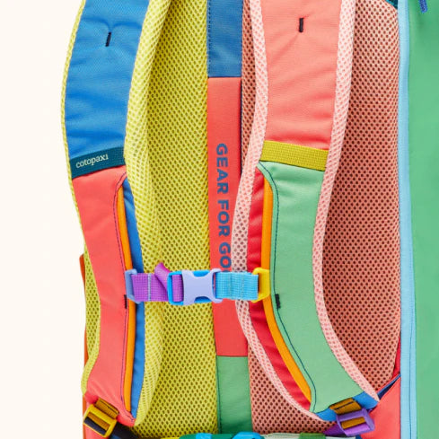 Padded mesh straps and back panel